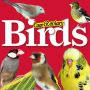 icon Cage & Aviary Birds(Kooi en volière vogels)