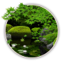 icon Zen Garden -Summer-(Zen Garden - Zomer - LW)