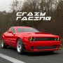 icon Fast Car Racing(Snel autoracen Rijsimulator
)
