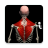 icon Anatomy(Anatomy by Muscle Motion
) 2.5.7