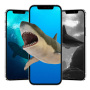 icon shark wallpaper(Shark-achtergrond
)