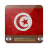 icon 2.0