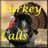 icon Turkey Calls HD(Turkije roept HD) 1.82