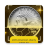icon Coin Identifier(Coin Value Identificeer Coin Scan) 11.0