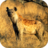 icon Hyena Sounds(Hyena klinkt) 1.0