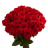 icon Flowers(Bloemen en rozen geanimeerd) 1.19