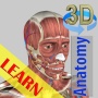 icon 3D Bones and Organs Anatomy(3D botten en organen (anatomie))