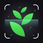 icon Plant Identify(Plant-identificatie: plantenzoeker
)