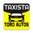 icon Toro Autos Conductor(T.A. TV- stuurprogramma) 1.0.34