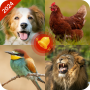 icon Animal Ringtone(Dierenbeltonen - Dierengeluiden)