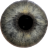 icon Eye Diagnosis(Oogdiagnose) 1.4.6