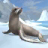 icon Sea Lion Simulator 3D(Sea Lion Simulator) 1.0