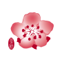 icon China Airlines(China Airlines App)