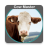 icon Cow Master(Cow Master - Herd Management) 2.3.5