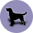 icon Dog(Honden rassen) 2.6.3