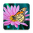 icon Butterflies Live Wallpaper(Butterfly live wallpaper) 1.0.9