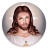 icon Jesus Wallpapers & Audio Bible(Jezus Wallpapers Audio Bijbelgids) 1.02