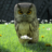 icon The Magical Typewriter 1.42.3