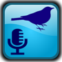 icon BirdUp(BirdUp - herkenning van vogelgeluiden)