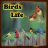 icon Birds Life(Vogels leven) 40.5