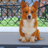 icon Animal Shelter: Pet Rescue Sim(Dierenasiel: Pet Rescue 3D) 1.9