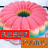 icon Kumpulan Resep Puding Spesial(Speciale Pudding Recept Collectie) 1.1