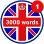 icon 3000 Words(3000 palabras: aprende inglés)