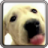 icon Dog Screen Cleaner LWP (HONDENSPREIN CLEANER LWP GRATIS) 1.2