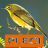 icon Master Kicau Pleci(Master Kicking Pleci) 1.2