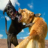 icon Wild Dog Fighting Simulator(Wilde hond Vechten Sim Angry Dog Fight Competitie
) 1.0