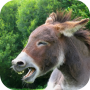 icon Donkey Sounds(Ezel klinkt)
