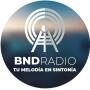 icon BND Radio(BND Radio
)