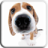 icon Dog Licks Screen LWP (HOND LICKS SCHERM LWP GRATIS) 1.2