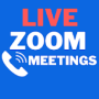 icon Guide for Zoom Cloud Video Conferences 2021 (Gids voor Zoom Cloud Videoconferenties 2021
)