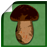 icon com.headcorp.bookofmushrooms(Book of Mushrooms) 3.3