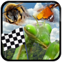 icon Insect Race