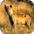 icon Hyena Sounds(Hyena klinkt) 1.0