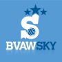 icon BVAW Sky(BVAW Sky | Beachvolleybal evenement!
)