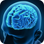 icon Cerebrum(Cerebrum: Brain Training Game)