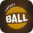 icon Latest Ball Race(Nieuwste BallRace-Color BallRace) 1.7