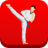 icon Taekwondo Workout(Taekwondo Workout At Home
) 1.08