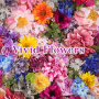 icon Vivid Flowers(Beautiful Wallpaper Vivid Flowers Theme
)