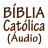 icon com.biblia_catolica_audio_portugues.biblia_catolica_audio_portugues(Bekijk de bron) 273.0.0