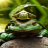 icon Green Frog Live Wallpaper(Groene Kikker Live Wallpaper) 2