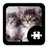 icon Cats & Kittens Puzzle(Cats Kitten Puzzle) 1.8.2