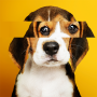 icon Stripes: Jigsaw Puzzles (Stripes: Jigsaw Puzzles
)
