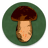 icon com.headcorp.bookofmushrooms(Book of Mushrooms) 4.0