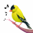 icon Bird Calls(Bird Calls, Sounds Ringtones) 13.2.0
