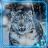 icon Snow Leopard Wild(Snow Leopard Wild
) 1.2