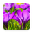 icon Beautiful Spring Flowers Live Wallpaper(Prachtige lentebloemen Live) 1.0.8